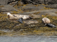 Isle of Skye